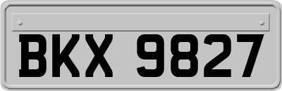 BKX9827