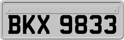 BKX9833