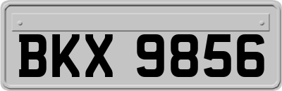 BKX9856