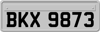 BKX9873