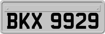 BKX9929