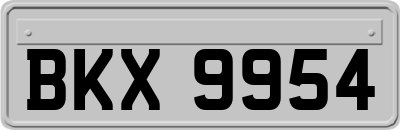 BKX9954