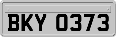 BKY0373