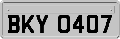 BKY0407
