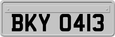BKY0413