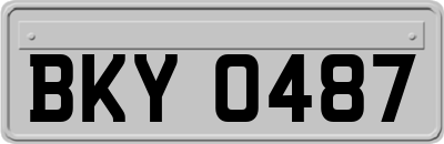 BKY0487