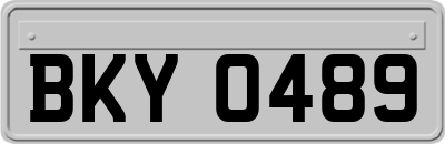 BKY0489