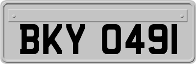 BKY0491