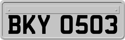 BKY0503