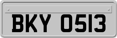 BKY0513