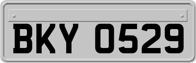 BKY0529