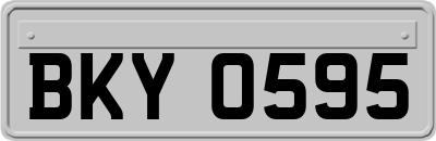 BKY0595