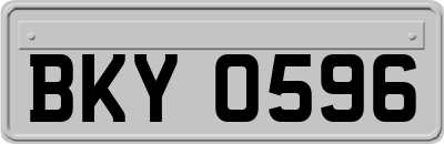 BKY0596