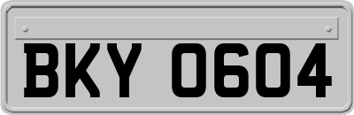 BKY0604