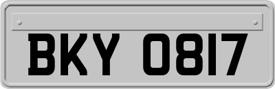 BKY0817