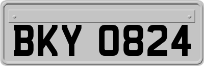 BKY0824