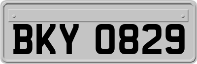 BKY0829