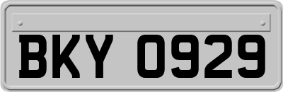 BKY0929