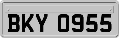 BKY0955