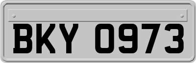 BKY0973