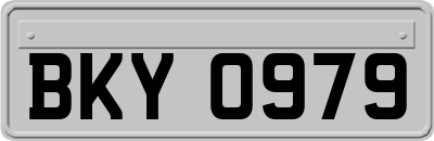 BKY0979