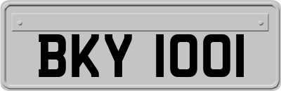 BKY1001