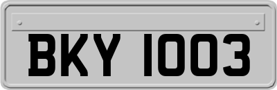 BKY1003