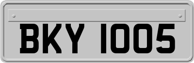 BKY1005