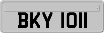 BKY1011