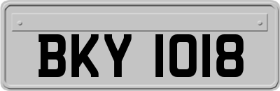 BKY1018