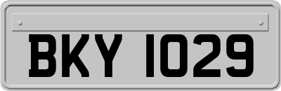 BKY1029