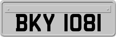 BKY1081
