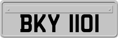 BKY1101