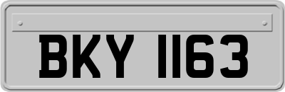 BKY1163