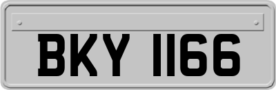 BKY1166