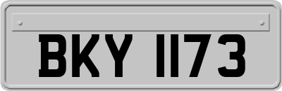 BKY1173