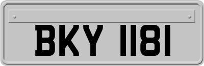 BKY1181