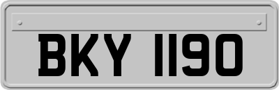 BKY1190