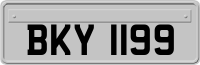 BKY1199