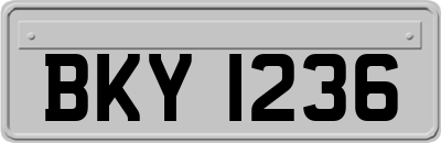 BKY1236