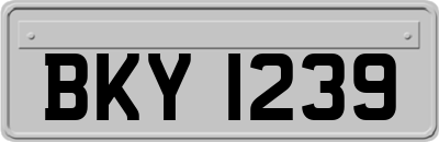 BKY1239