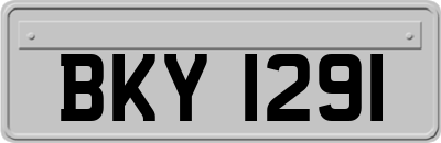 BKY1291