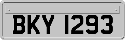 BKY1293