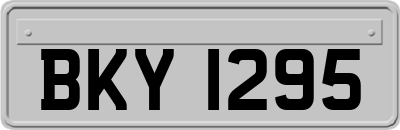 BKY1295