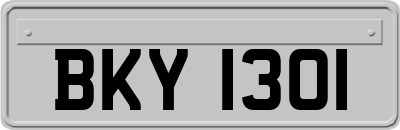 BKY1301