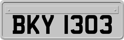 BKY1303