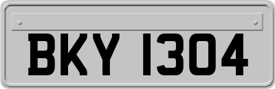 BKY1304
