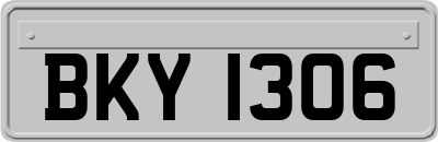 BKY1306