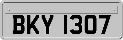 BKY1307