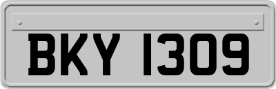 BKY1309